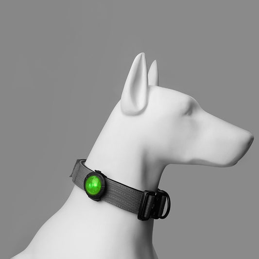 PAWSBIJOU Safety Pet LED Light Pendant Attachment