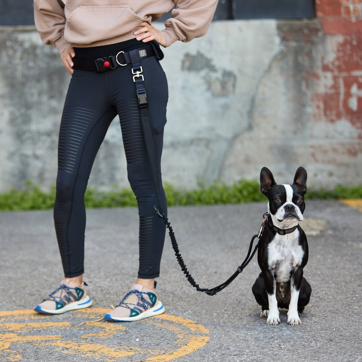 PAWSBIJOU GF PET® Waist Belt & Bungee Leash