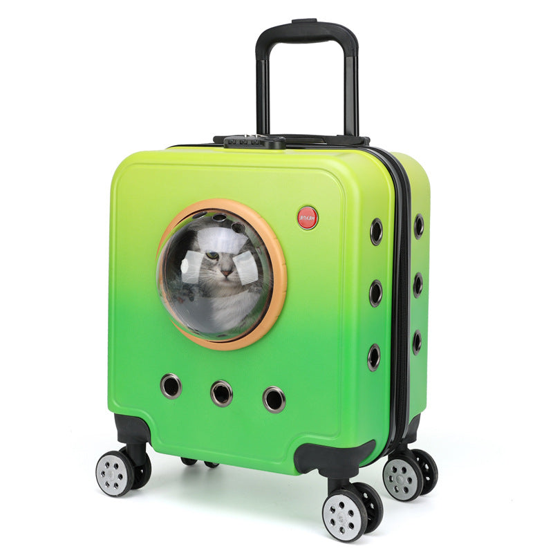 PAWSBIJOU Fido et Felis Travel Carrier