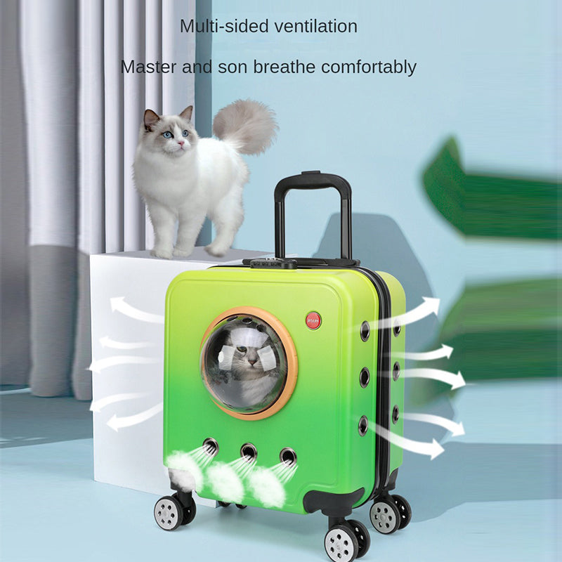PAWSBIJOU Fido et Felis Travel Carrier