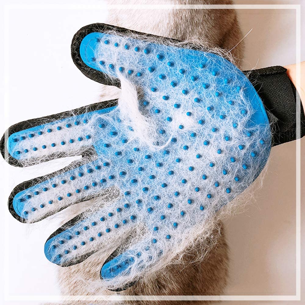PAWSBIJOU Fido et Felis Grooming Glove