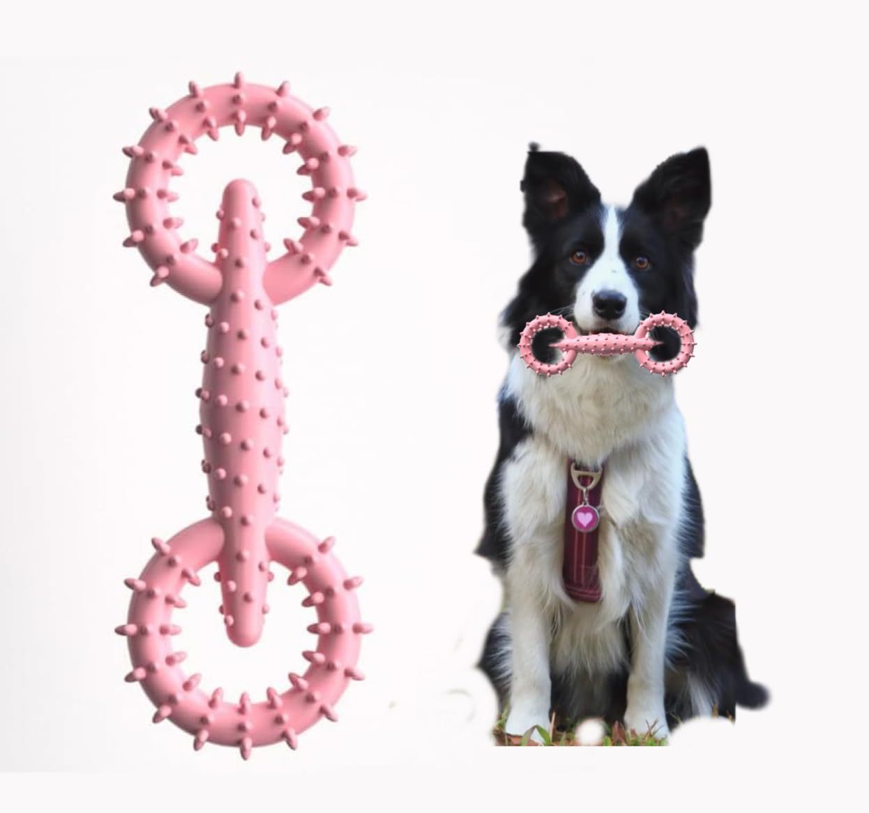 PAWSBIJOU Teething Fido Chew Toy