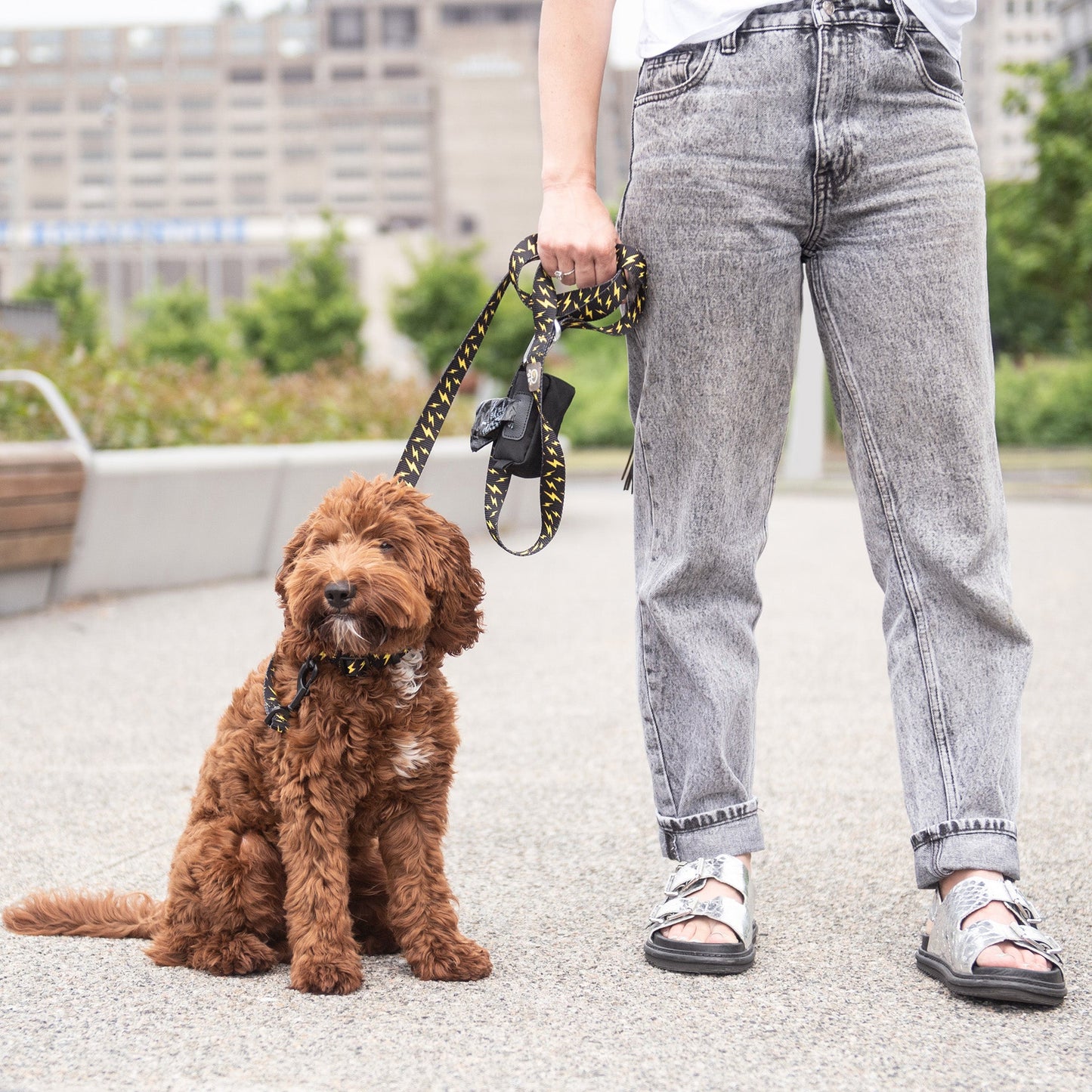 PAWSBIJOU GF PET® Poop Bag Dispenser